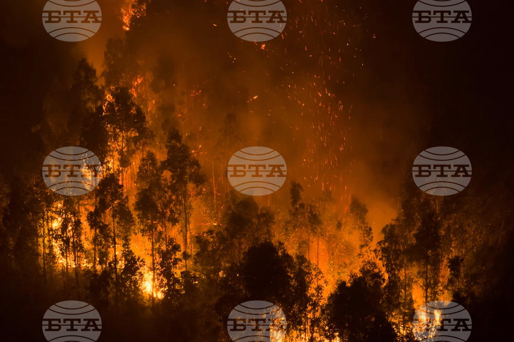 Climate Chile Wildfires Explainer