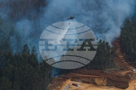 Climate Chile Wildfires Explainer