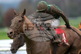 Irland Horse Racing