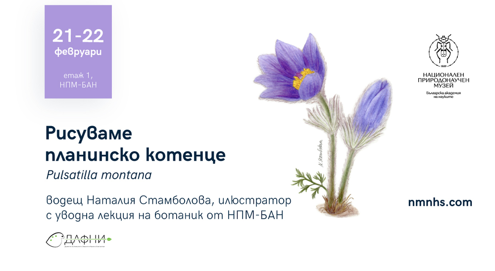 Националният природонаучен музей при БАН ще бъде домакин на работилница по научна илюстрация