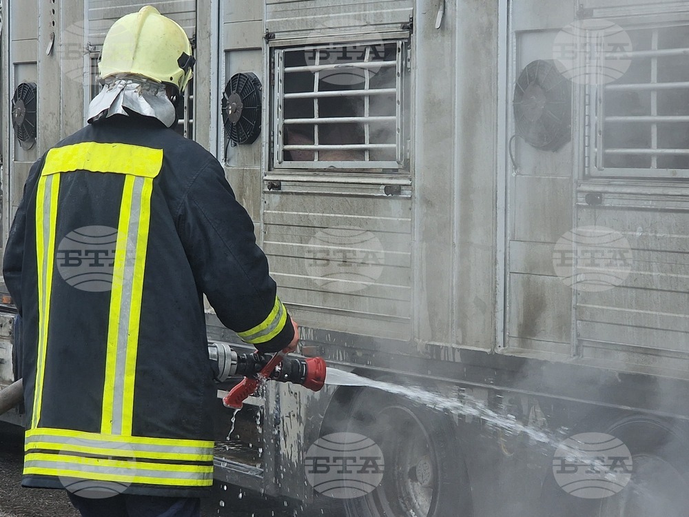 Хасково- пожар - камион с животни