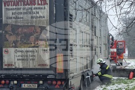 Хасково - пожар - камион с животни