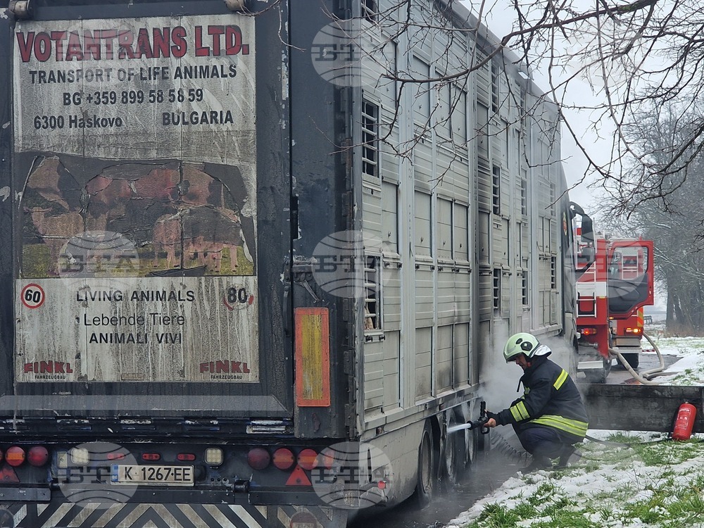 Хасково - пожар - камион с животни