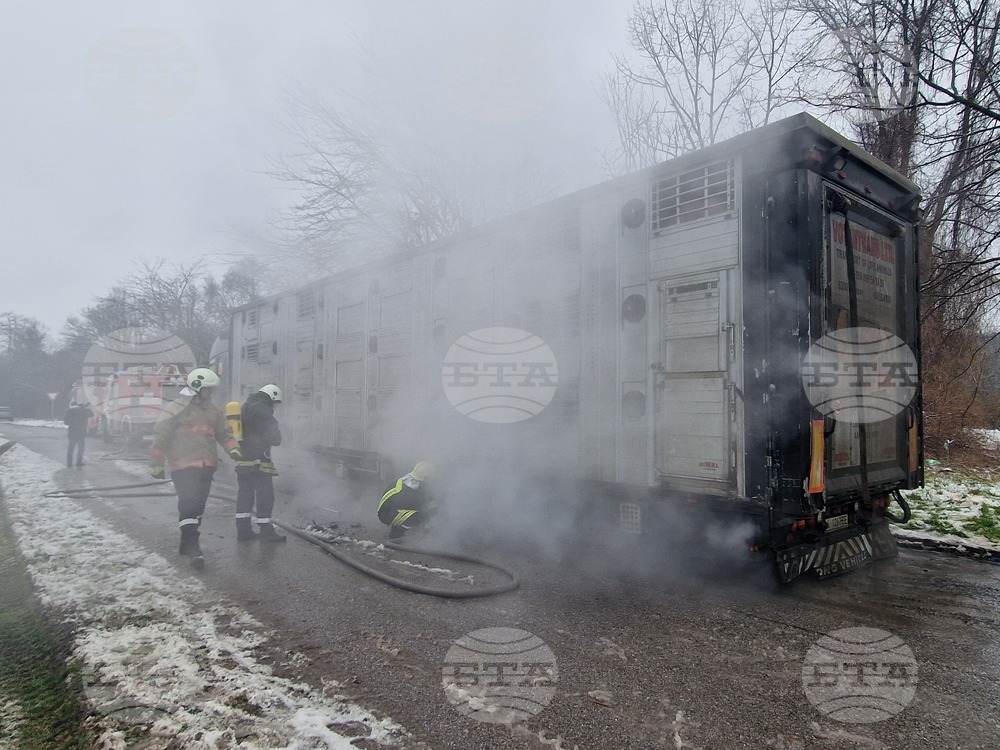 Хасково - пожар - камион с животни