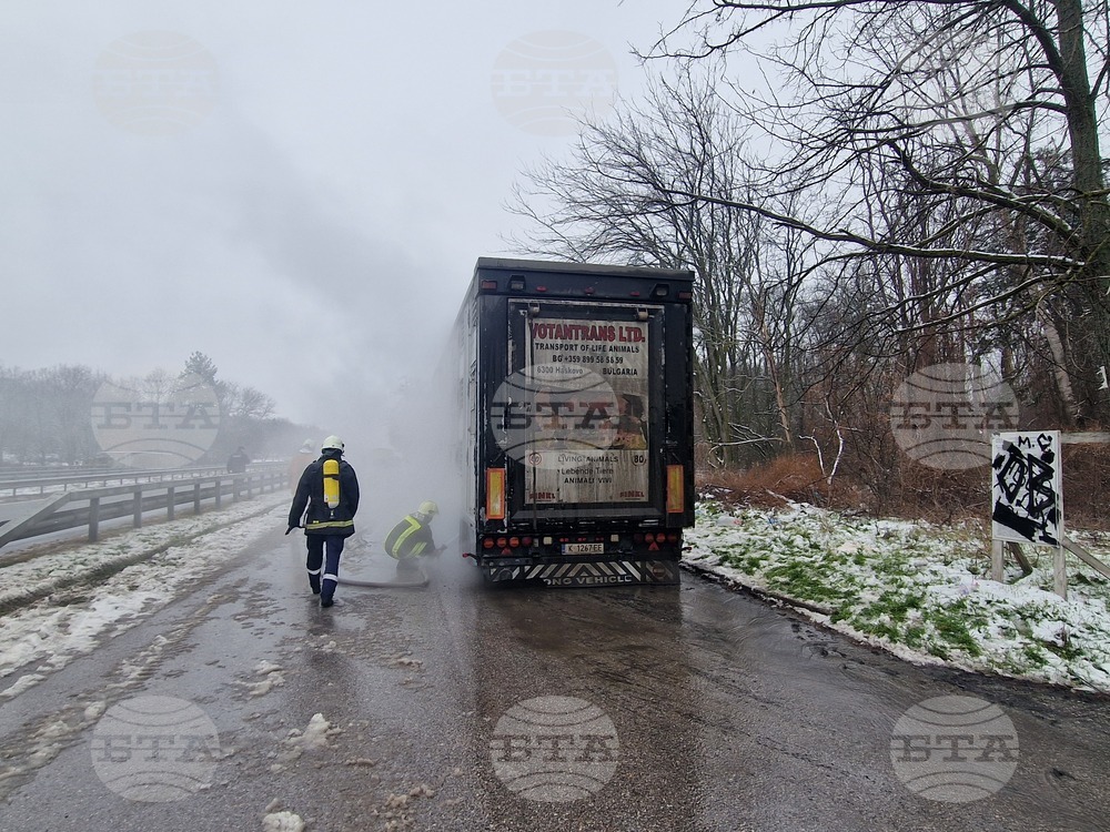Хасково - пожар - камион с животни