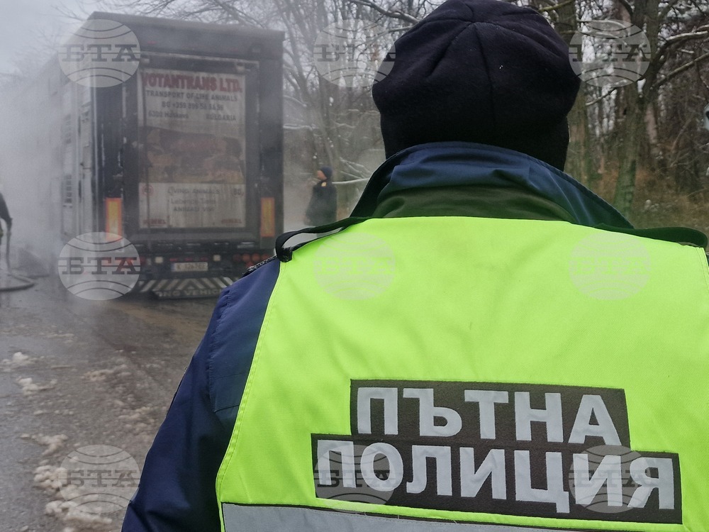 Хасково - пожар - камион с животни