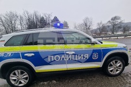 Хасково - пожар - камион с животни