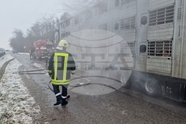 Хасково - пожар - камион с животни