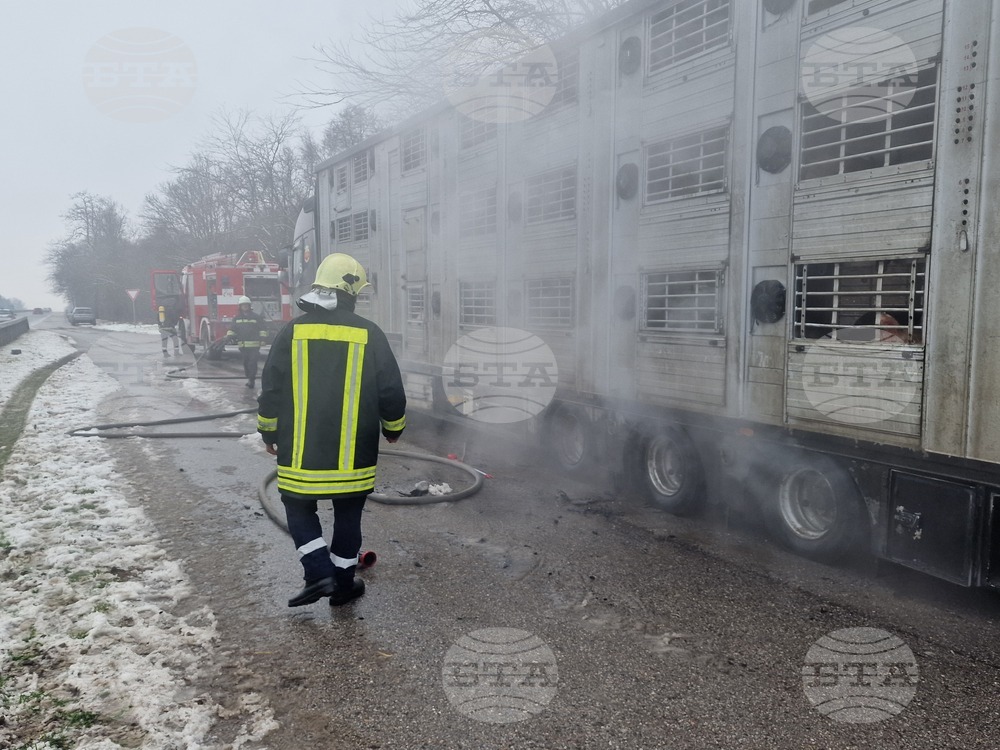 Хасково - пожар - камион с животни
