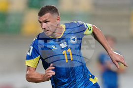 Schalke-Dzeko Soccer