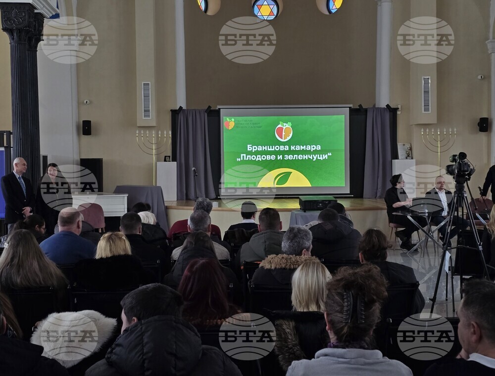 Видин - браншова камара „Плодове и зеленчуци“ - регионална структура - учредяване