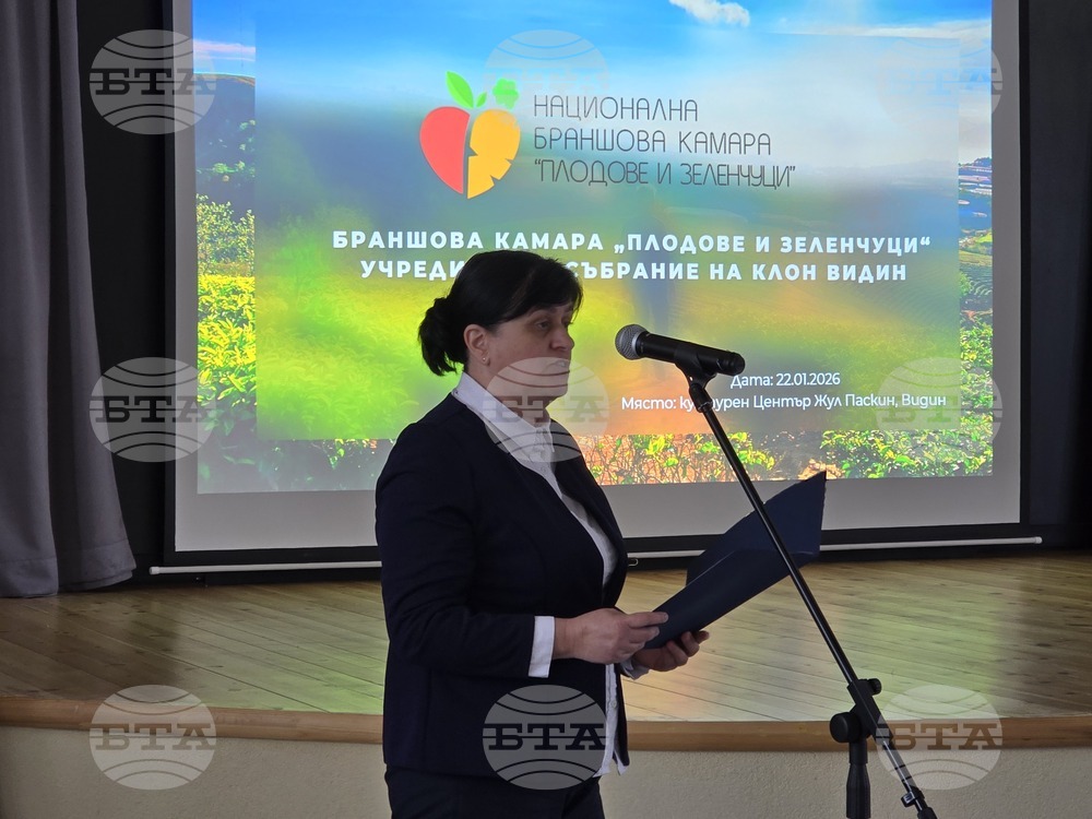 Видин - браншова камара „Плодове и зеленчуци“ - регионална структура - учредяване