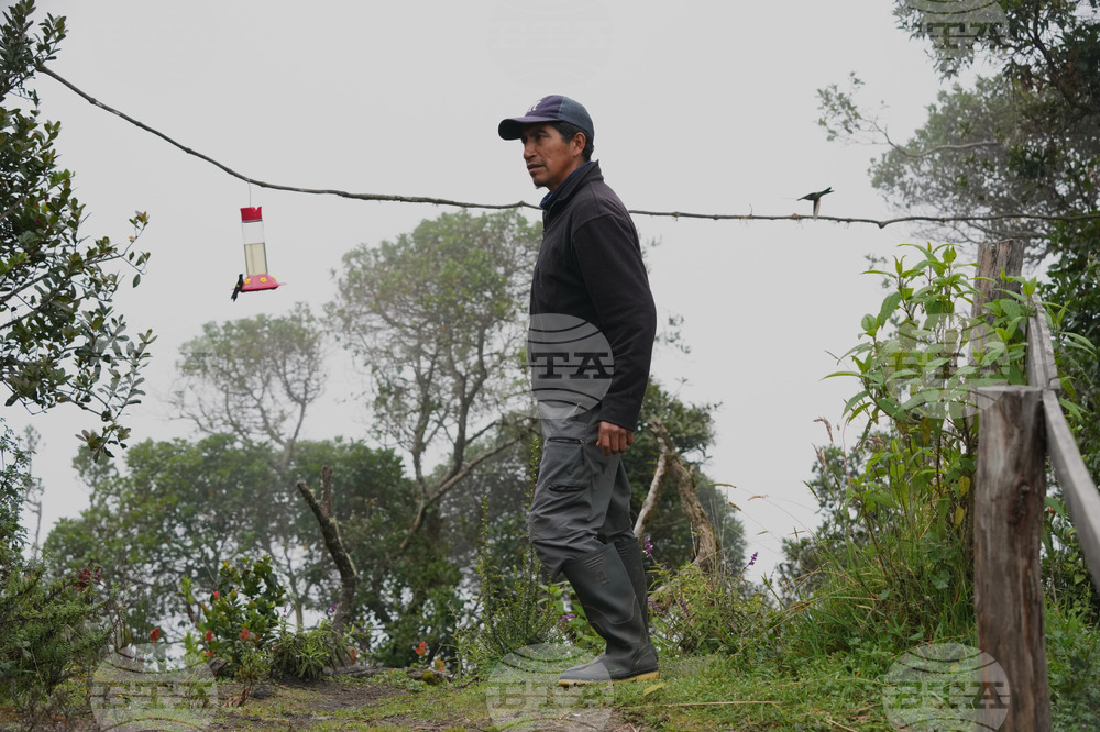 Ecuador Hummingbirds Refuge