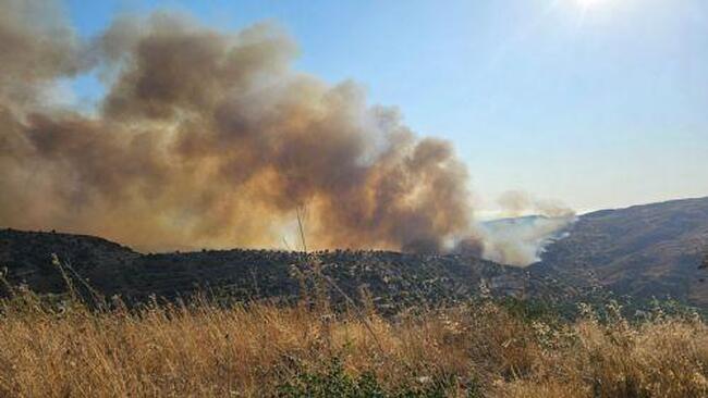 КНА: Европейски доклад, представен в Никозия, призовава за интегриране на риска от горски пожари във всички политики