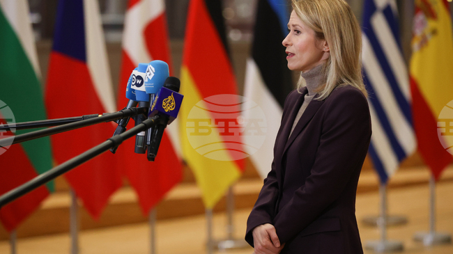 Когато между съюзниците има различия, нашите противници се наслаждават, предупреди Кая Калас