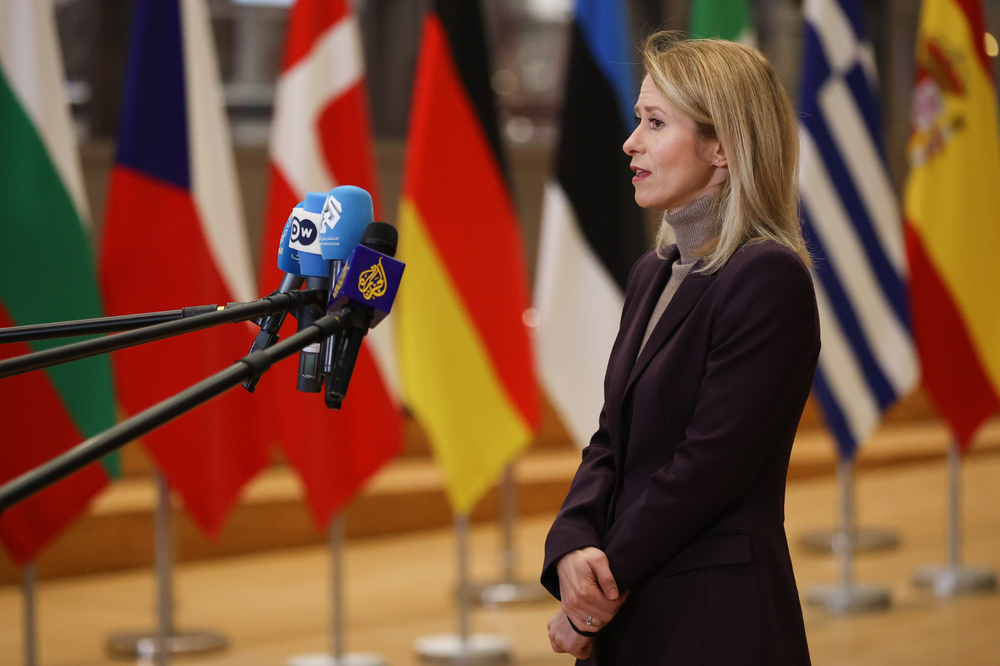 Когато между съюзниците има различия, нашите противници се наслаждават, предупреди Кая Калас