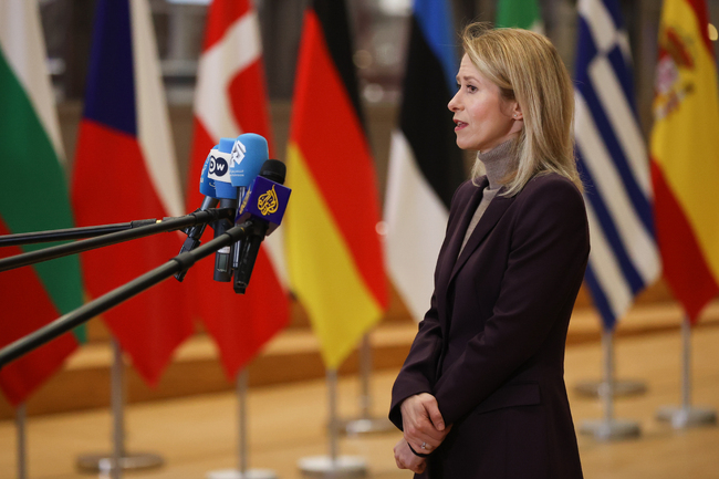 Когато между съюзниците има различия, нашите противници се наслаждават, предупреди Кая Калас