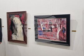 Плевен - изложба - колекция на Васил Антонов