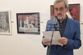 Плевен - изложба - колекция на Васил Антонов