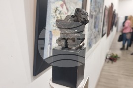 Плевен - изложба - колекция на Васил Антонов