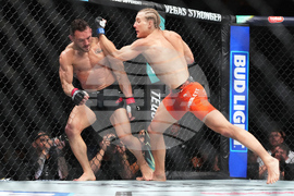 UFC 324 Preview Mixed Martial Arts