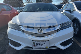 Potato Head License Plate