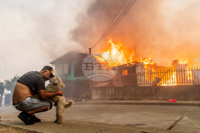 Pictures of the Week Global Photo Gallery