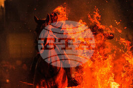 Pictures of the Week Global Photo Gallery