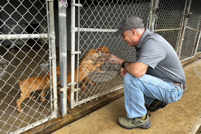 Winter Weather Dog Rescue