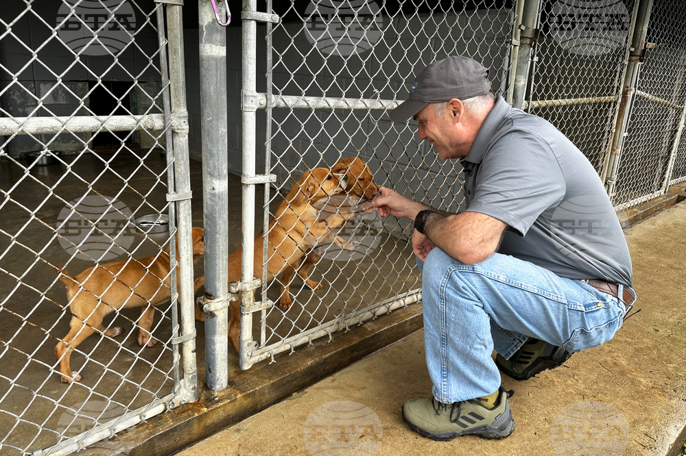 Winter Weather Dog Rescue