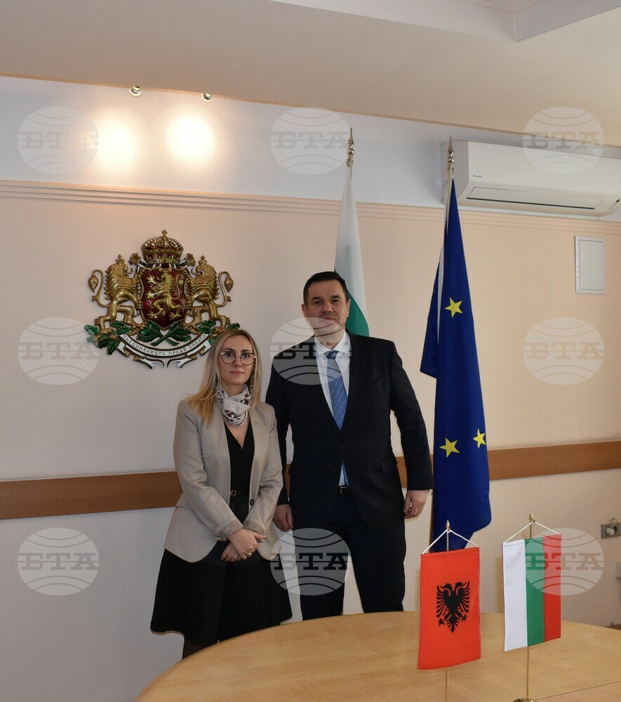 Trade between Bulgaria and Albania Up by Over 20%