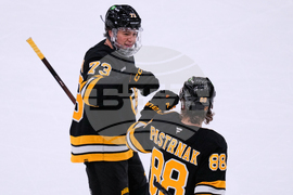 Golden Knights Bruins Hockey