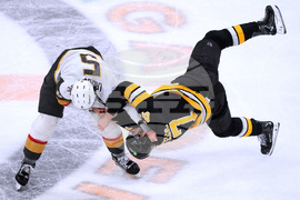 Golden Knights Bruins Hockey