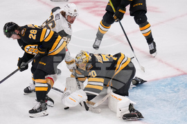 Golden Knights Bruins Hockey