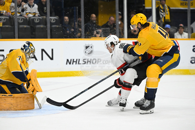 Senators Predators Hockey