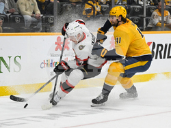 Senators Predators Hockey