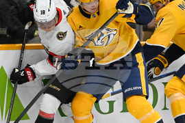 Senators Predators Hockey