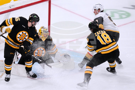 Golden Knights Bruins Hockey