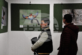 Бургас - "Птиците в България през очите на един поляк" - фотоизложба