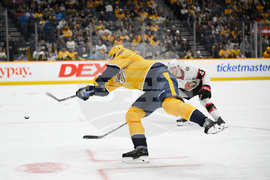 Senators Predators Hockey