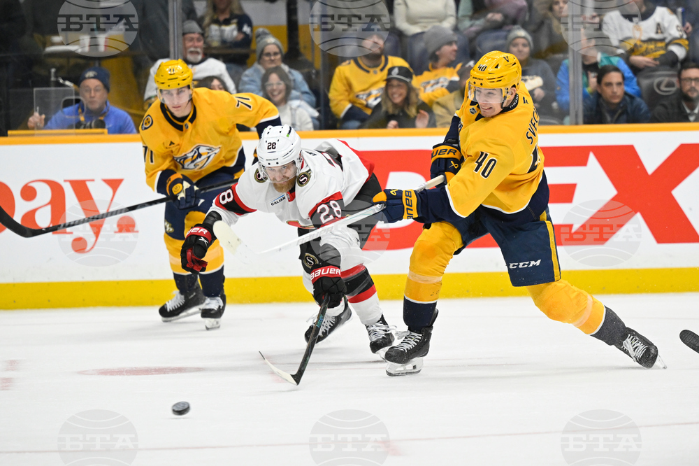 Senators Predators Hockey