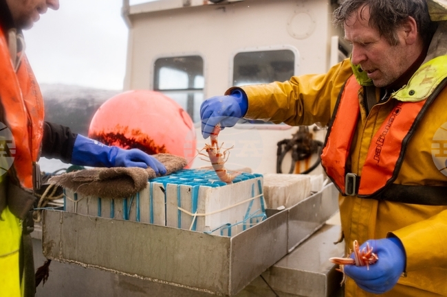 Climate Scotland Trawling