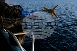 Climate Scotland Trawling