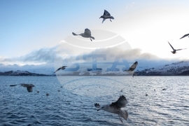 Climate Scotland Trawling