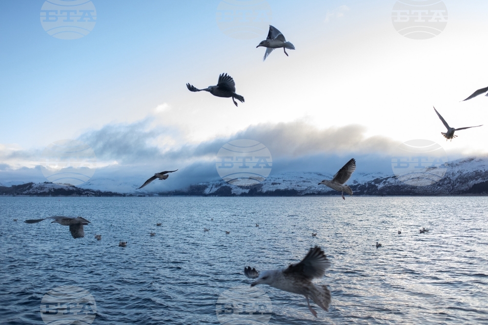 Climate Scotland Trawling