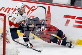 Panthers Jets Hockey