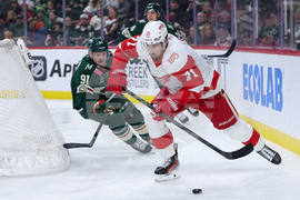 Red Wings Wild Hockey