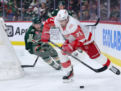 Red Wings Wild Hockey
