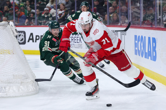 Red Wings Wild Hockey