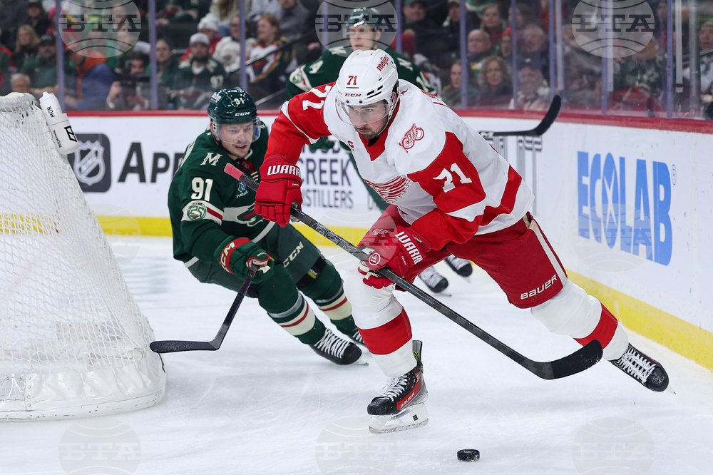 Red Wings Wild Hockey